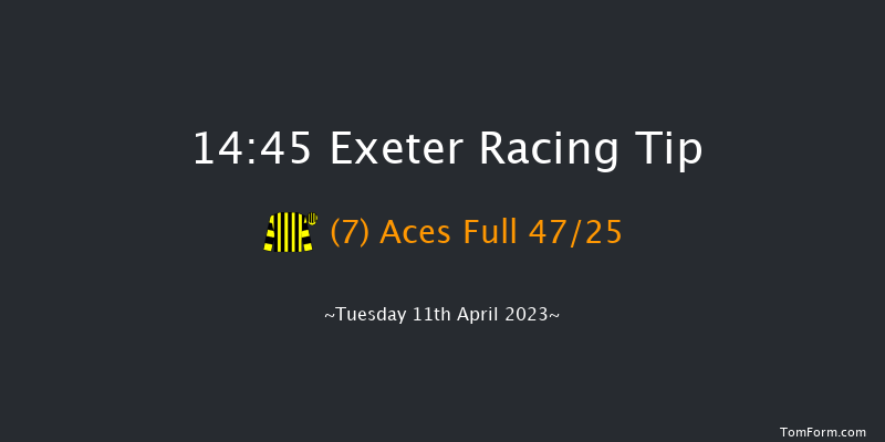 Exeter 14:45 Handicap Chase (Class 5) 19f Sun 26th Mar 2023