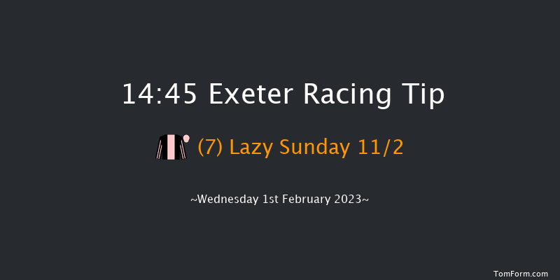 Exeter 14:45 Handicap Chase (Class 4) 19f Tue 10th Jan 2023