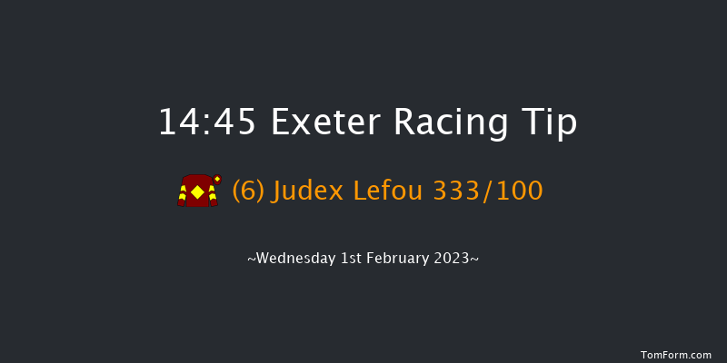 Exeter 14:45 Handicap Chase (Class 4) 19f Tue 10th Jan 2023