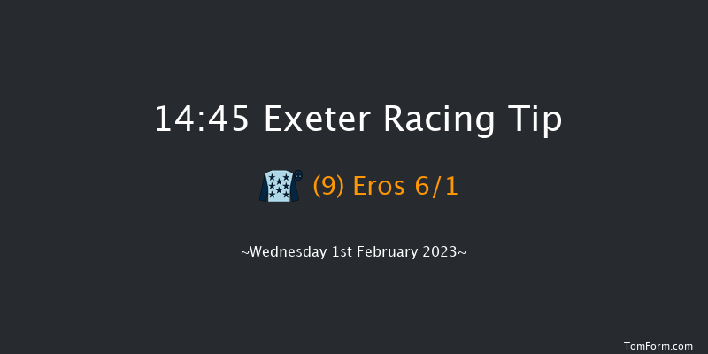 Exeter 14:45 Handicap Chase (Class 4) 19f Tue 10th Jan 2023