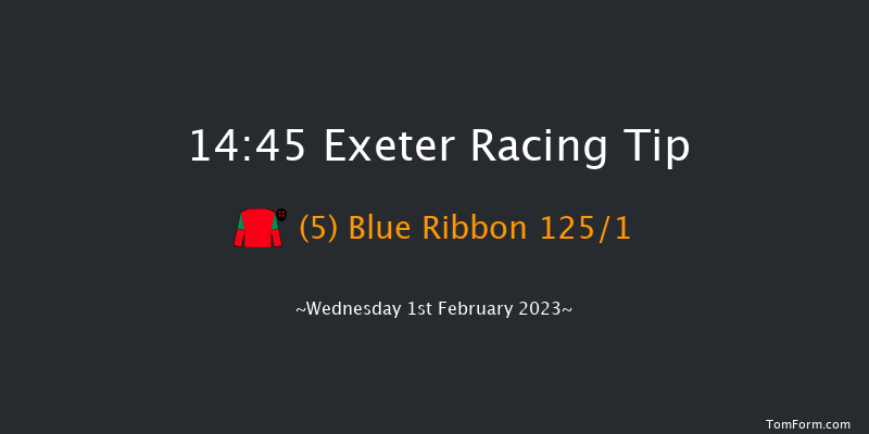 Exeter 14:45 Handicap Chase (Class 4) 19f Tue 10th Jan 2023