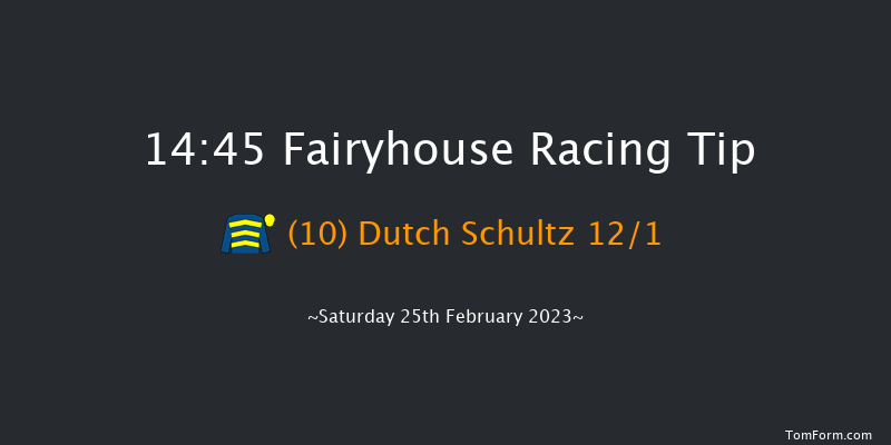 Fairyhouse 14:45 Handicap Hurdle 20f Wed 8th Feb 2023