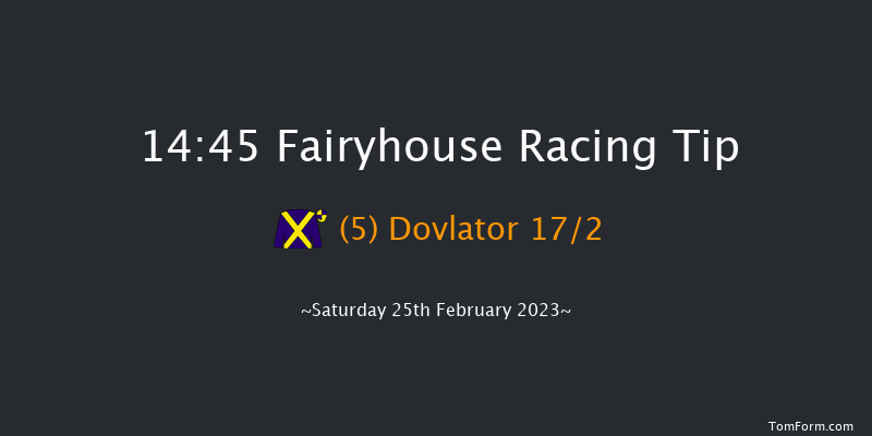 Fairyhouse 14:45 Handicap Hurdle 20f Wed 8th Feb 2023