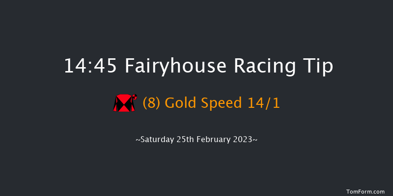 Fairyhouse 14:45 Handicap Hurdle 20f Wed 8th Feb 2023
