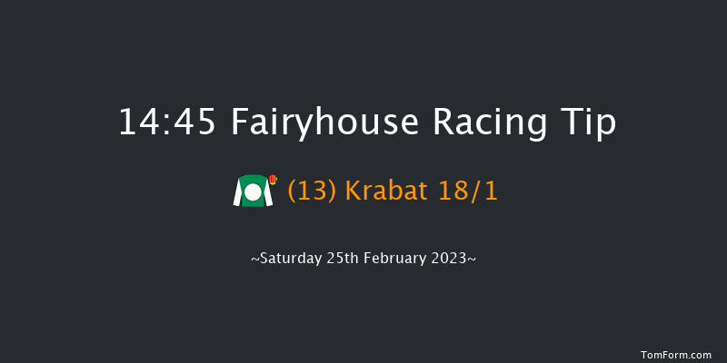 Fairyhouse 14:45 Handicap Hurdle 20f Wed 8th Feb 2023