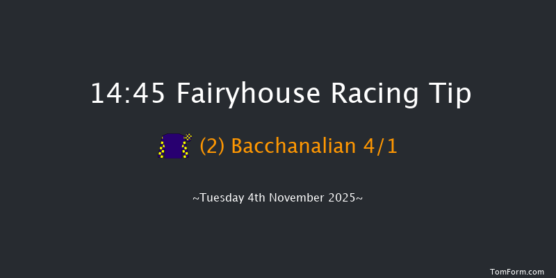 Fairyhouse 14-45 20f Sat 11th Oct 2025