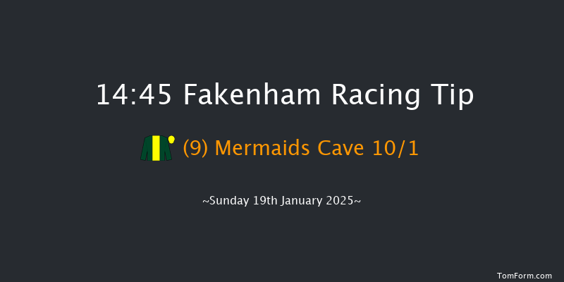 Fakenham  14:45 Handicap Hurdle (Class 3) 20f Wed 1st Jan 2025
