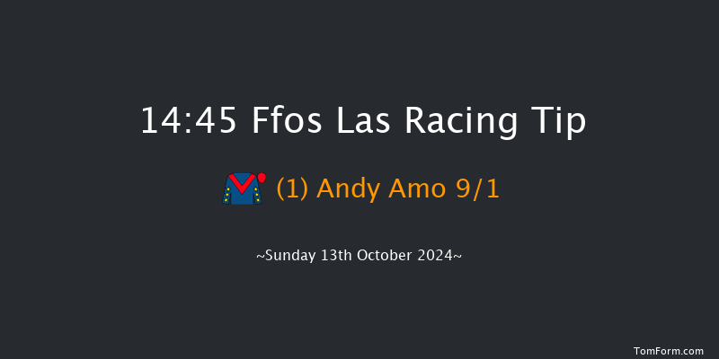 Ffos Las  14:45 Maiden Hurdle (Class 4) 22f Fri 30th Aug 2024