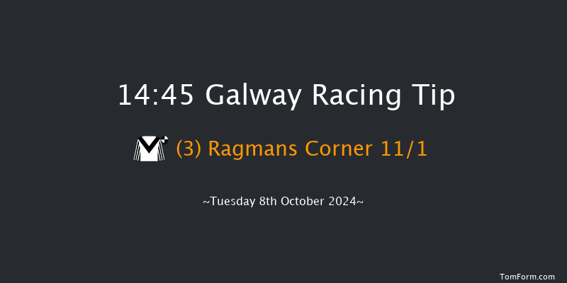 Galway  14:45 Handicap Hurdle 17f Tue 10th Sep 2024