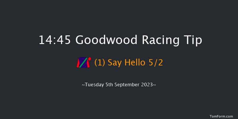 Goodwood 14:45 Handicap (Class 3) 6f Sun 27th Aug 2023