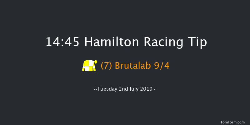 Hamilton 14:45 Handicap (Class 6) 8f Thu 27th Jun 2019