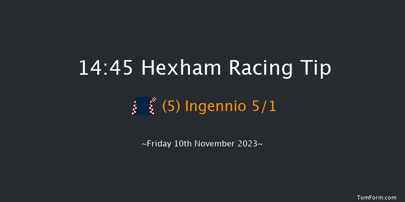Hexham 14:45 Handicap Hurdle (Class 5) 16f Sat 14th Oct 2023
