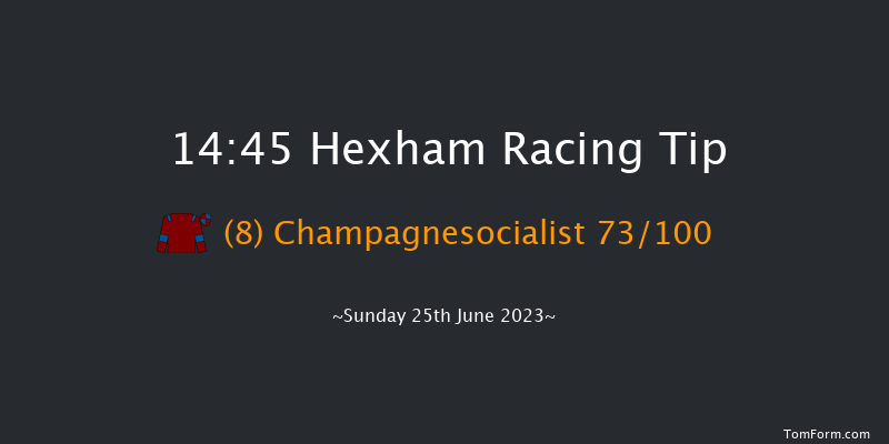 Hexham 14:45 Maiden Hurdle (Class 4) 20f Sat 17th Jun 2023