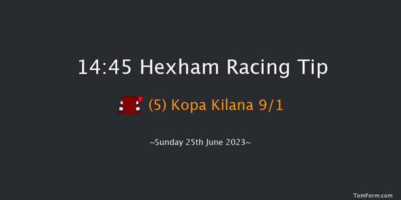 Hexham 14:45 Maiden Hurdle (Class 4) 20f Sat 17th Jun 2023