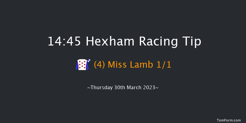 Hexham 14:45 Handicap Hurdle (Class 4) 16f Tue 28th Mar 2023