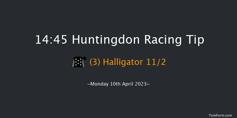 Huntingdon 14:45 Handicap Hurdle (Class 4) 21f Tue 28th Mar 2023