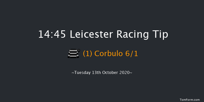 British Stallion Studs EBF Reference Point Novice Stakes (Plus 10) Leicester 14:45 Stakes (Class 4) 8f Tue 6th Oct 2020