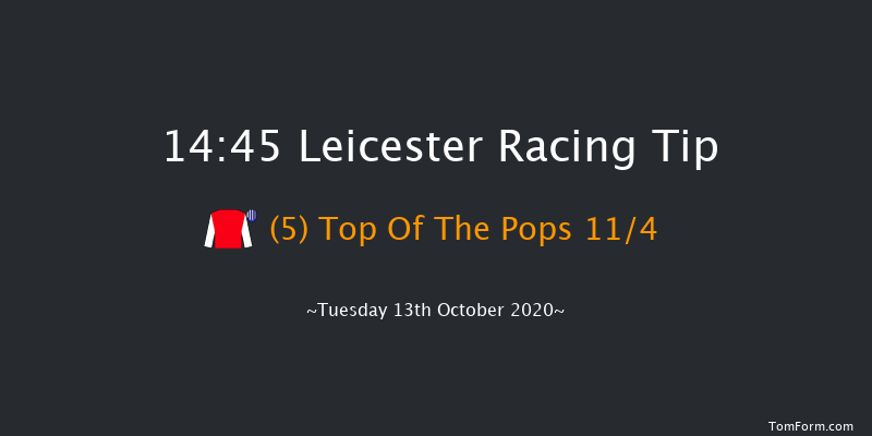 British Stallion Studs EBF Reference Point Novice Stakes (Plus 10) Leicester 14:45 Stakes (Class 4) 8f Tue 6th Oct 2020