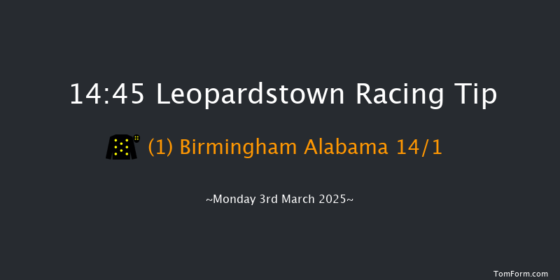 Leopardstown  14:45 Handicap Hurdle 24f Sun 2nd Mar 2025