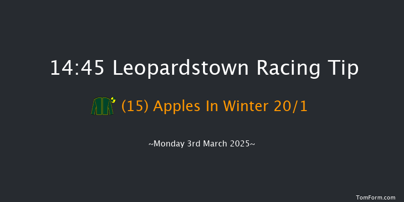 Leopardstown  14:45 Handicap Hurdle 24f Sun 2nd Mar 2025