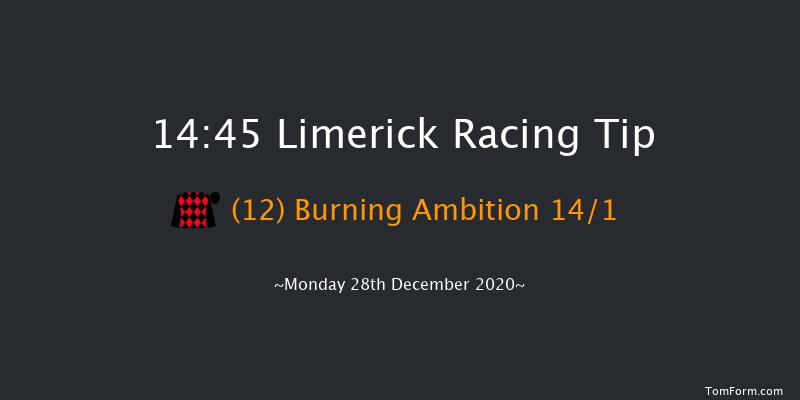 Tim Duggan Memorial Handicap Chase (0-150) (Grade B) Limerick 14:45 Handicap Chase 20f Sat 26th Dec 2020