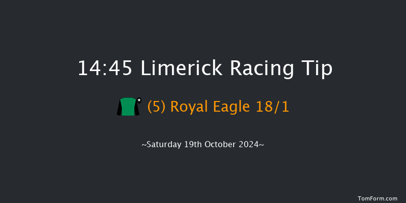 Limerick  14:45 Conditions Hurdle 23f Sun 7th Jul 2024