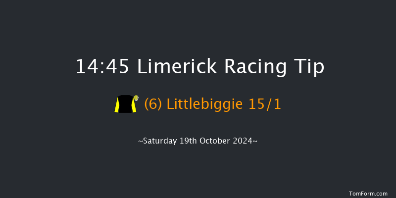 Limerick  14:45 Conditions Hurdle 23f Sun 7th Jul 2024