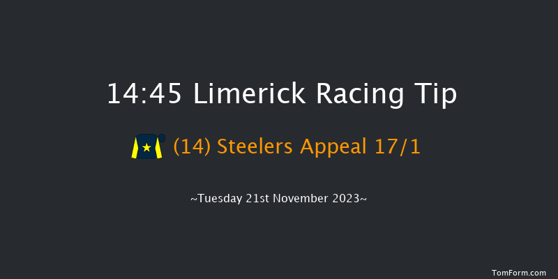 Limerick 14:45 Handicap Hurdle 21f Sun 22nd Oct 2023
