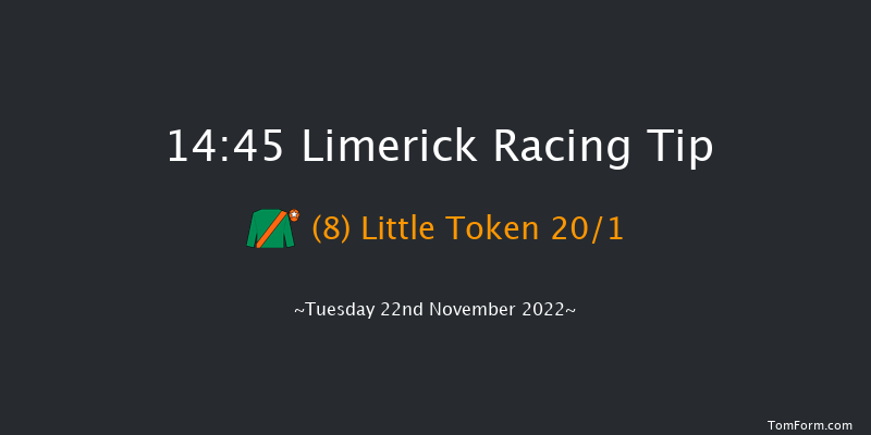 Limerick 14:45 Handicap Hurdle 21f Sun 23rd Oct 2022
