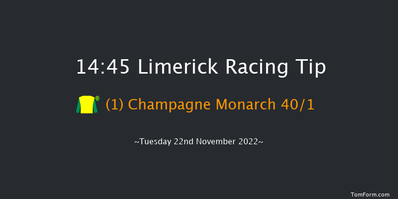 Limerick 14:45 Handicap Hurdle 21f Sun 23rd Oct 2022