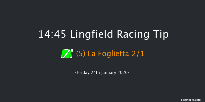 Lingfield 14:45 Stakes (Class 5) 10f Wed 22nd Jan 2020
