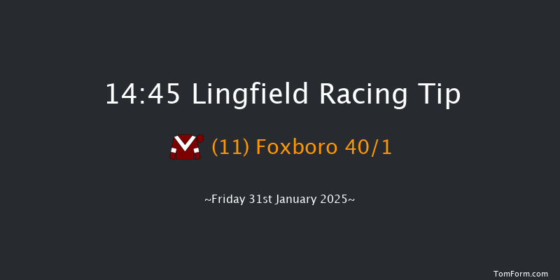 Lingfield  14:45 Handicap Chase (Class 3) 29f Fri 24th Jan 2025