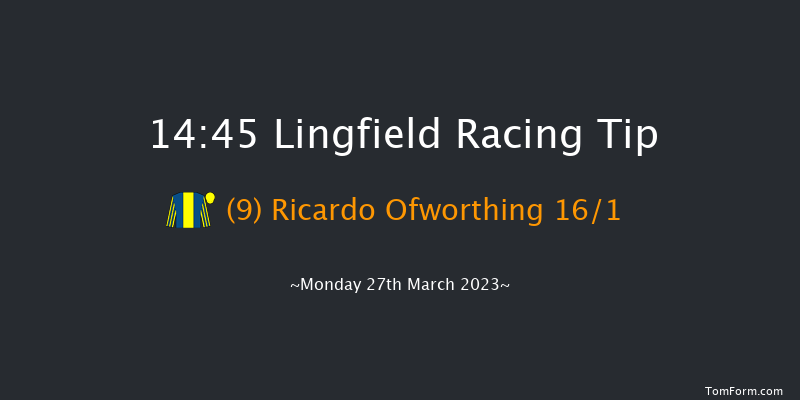 Lingfield 14:45 Handicap (Class 6) 7f Sat 25th Mar 2023