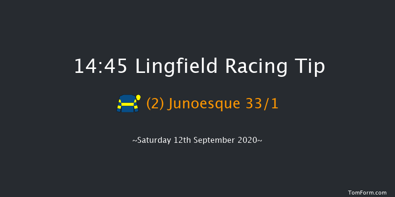 Betway Fillies' Handicap Lingfield 14:45 Handicap (Class 5) 12f Mon 7th Sep 2020