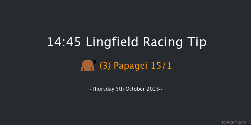 Lingfield 14:45 Stakes (Class 5) 7f Tue 26th Sep 2023