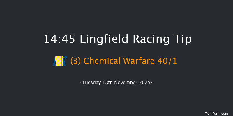 Lingfield 14-45 (Class 4) 22f Tue 11th Nov 2025