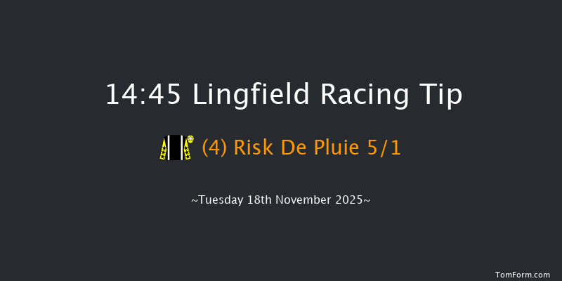 Lingfield 14-45 (Class 4) 22f Tue 11th Nov 2025