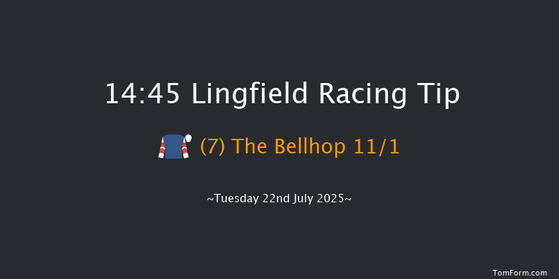 Lingfield 14-45 (Class 4) 11f Tue 8th Jul 2025