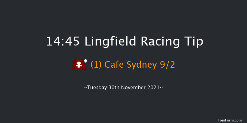 Lingfield 14:45 Handicap (Class 6) 10f Fri 26th Nov 2021