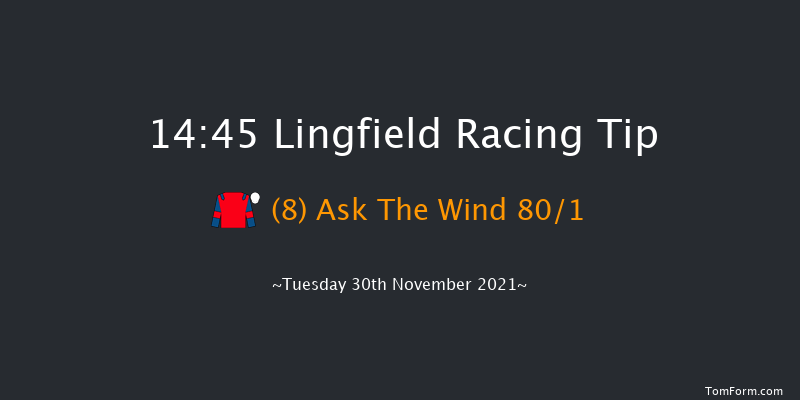 Lingfield 14:45 Handicap (Class 6) 10f Fri 26th Nov 2021