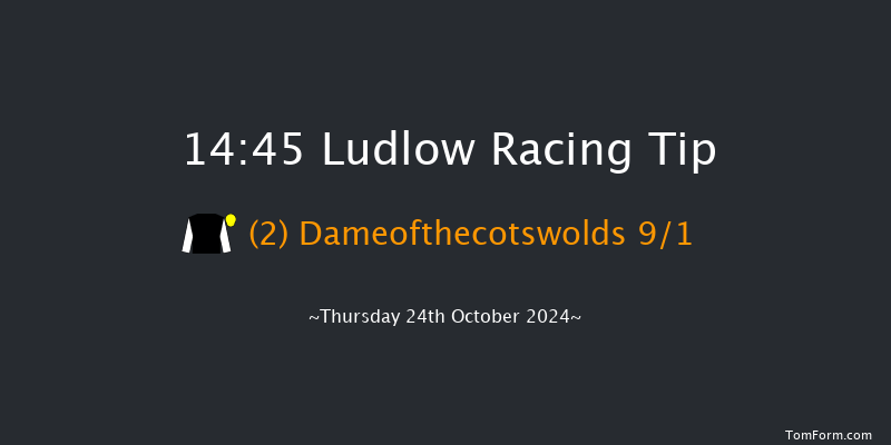 Ludlow  14:45 Novices Hurdle (Class 4) 21f  Wed 9th Oct 2024
