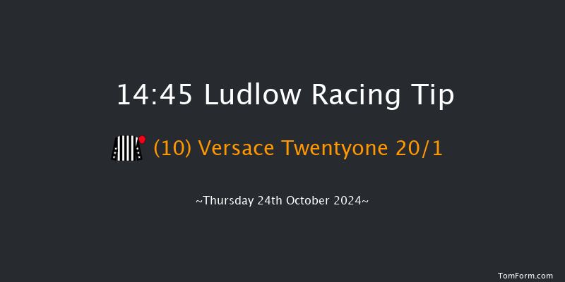 Ludlow  14:45 Novices Hurdle (Class 4) 21f  Wed 9th Oct 2024