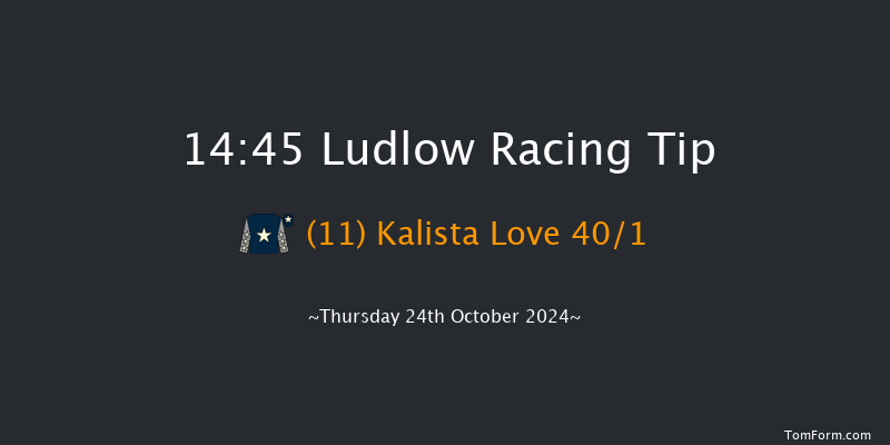 Ludlow  14:45 Novices Hurdle (Class 4) 21f  Wed 9th Oct 2024