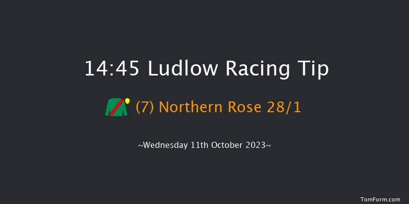 Ludlow 14:45 Maiden Hurdle (Class 4) 16f Sun 14th May 2023
