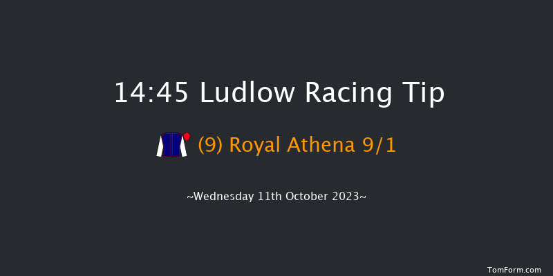 Ludlow 14:45 Maiden Hurdle (Class 4) 16f Sun 14th May 2023
