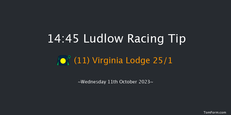 Ludlow 14:45 Maiden Hurdle (Class 4) 16f Sun 14th May 2023