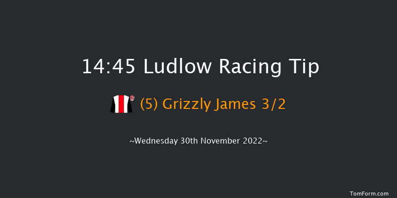 Ludlow 14:45 Handicap Chase (Class 4) 16f Mon 21st Nov 2022
