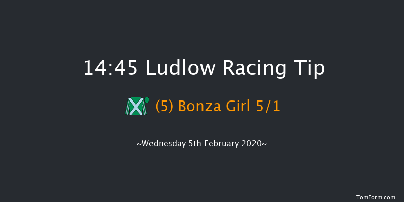 Ludlow 14:45 Handicap Hurdle (Class 3) 21f Thu 16th Jan 2020