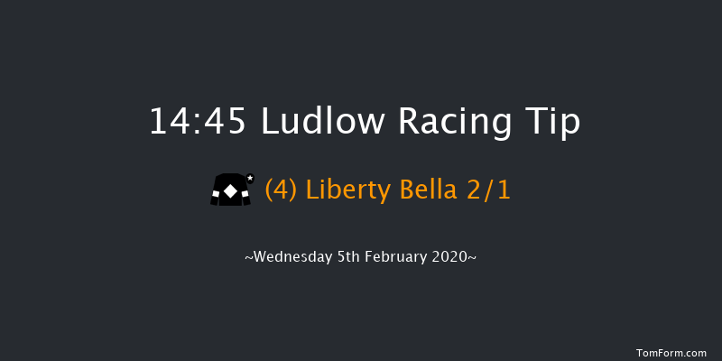 Ludlow 14:45 Handicap Hurdle (Class 3) 21f Thu 16th Jan 2020