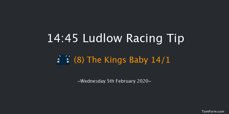 Ludlow 14:45 Handicap Hurdle (Class 3) 21f Thu 16th Jan 2020